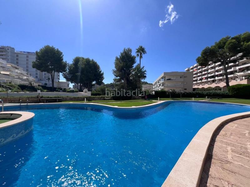 Foto b72e14ad-6df2-4024-b75a-988b5ff0e66e. Rent apartment with pool in Calvià poble Calvià