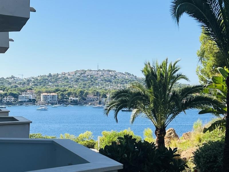 Foto 20ff3293-0b60-4ebd-bd24-873e347caea8. Studio with pool in Costa de la Calma Calvià