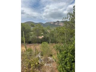 Terreno residencial en Puigpunyent. Terreno para construcción en son serralta puigpunyent