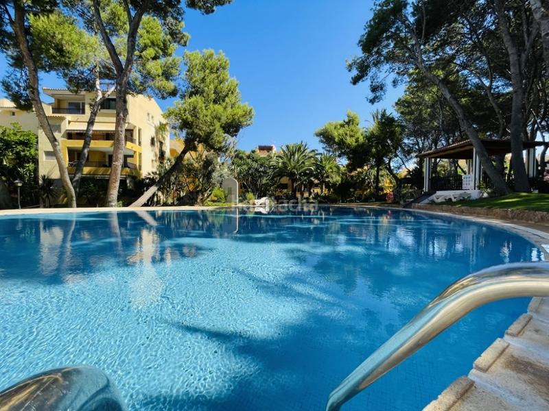 Foto e8ad0846-6258-4a83-982a-24bdaee596dd. Apartament amb piscina a Santa Ponça Calvià