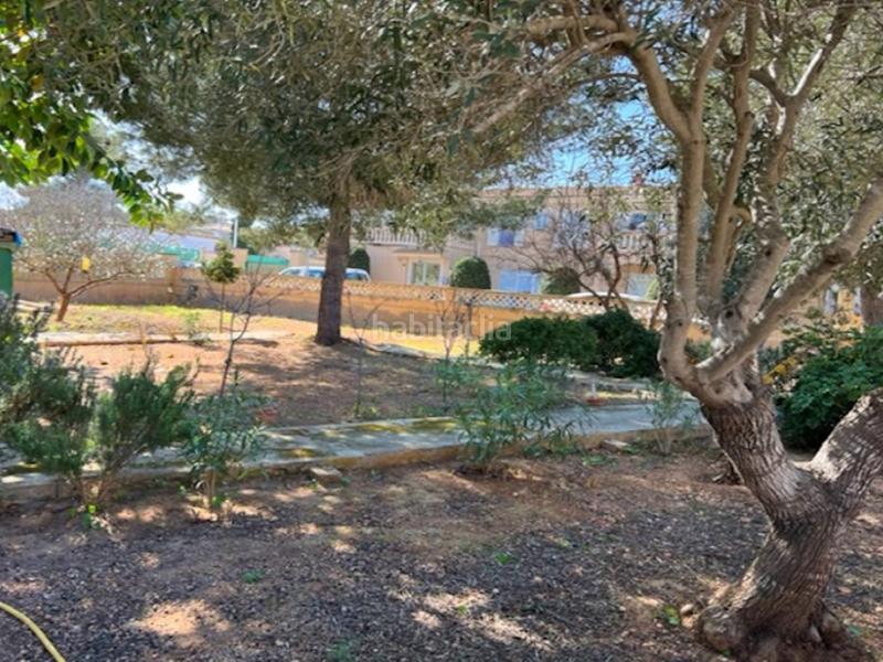 Foto b975dd0c-2768-42f7-8176-22dc0e81c495. Wohngrundstück in El Toro Calvià