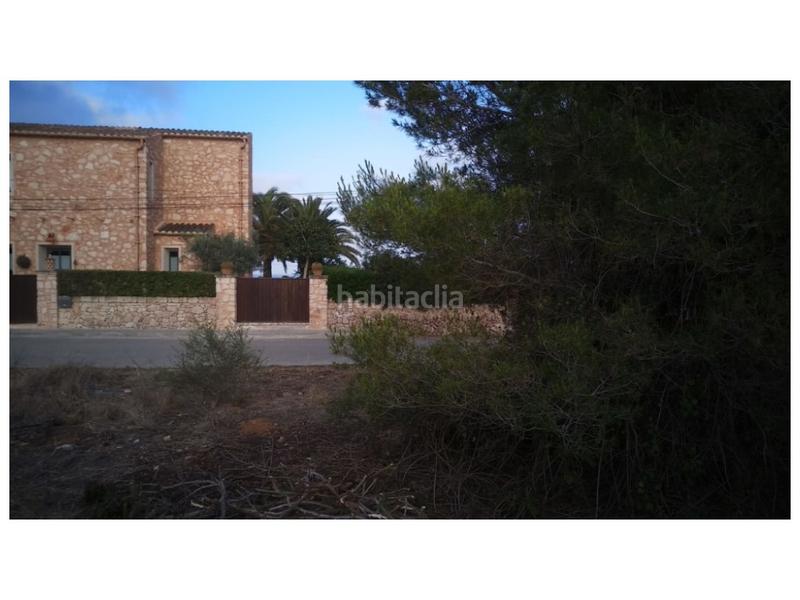 Foto 8166dc40-933a-4f90-8f54-50ed3db37c3d. Terreny residencial a Santanyí poble Santanyí