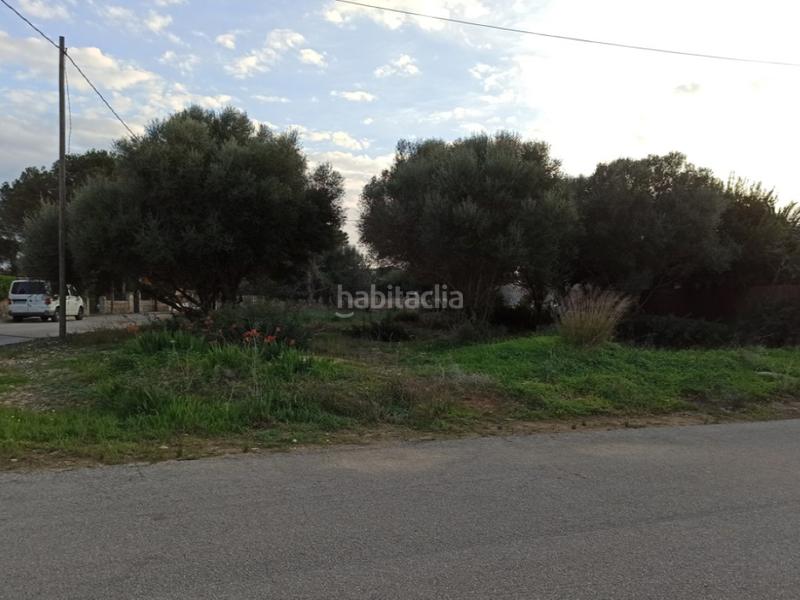 Foto 8f763764-5c39-4ae0-892a-eb997ab3056d. Terreny residencial a Santanyí poble Santanyí