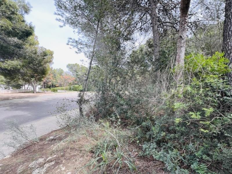 Foto a0db8a67-6fff-4245-b48e-f5bf128d8a6b. Terrain résidentiel dans Portals Nous Calvià