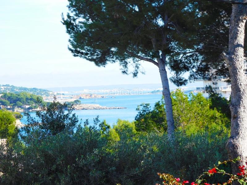 Foto a98aaf7e-099c-42f8-b0da-d6c1d0b87948. Wohngrundstück in Palmanova Calvià