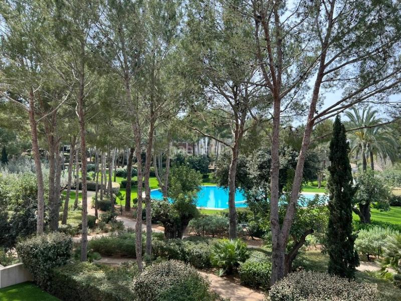 Foto d8a9a880-56ca-4f6d-95e8-1817f0957839. Affitto piccolo appartamento con piscina in Portals Nous Calvià