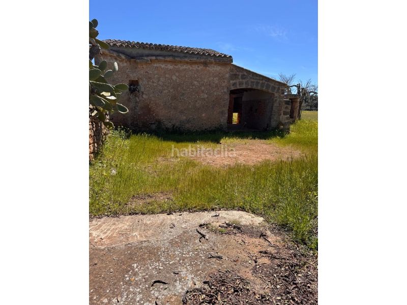 Foto 0b5dbfd8-3bc8-43d0-aa86-a803f16d3a37. Terreny residencial a Algaida