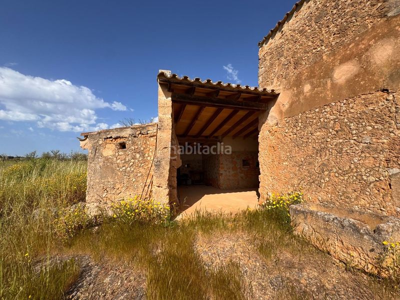 Foto 19031b60-f269-4c8e-93ab-037bb933843c. Terreny residencial a Algaida