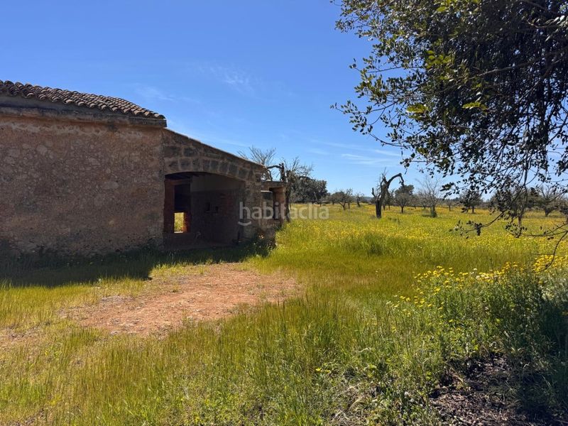 Foto 87c997eb-06fe-4dbd-9444-ee196f58cff2. Terreny residencial a Algaida