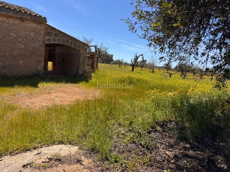 Foto cd8f6005-09e9-43e8-b7e7-00b82eb8f7d1. Terreny residencial a Algaida