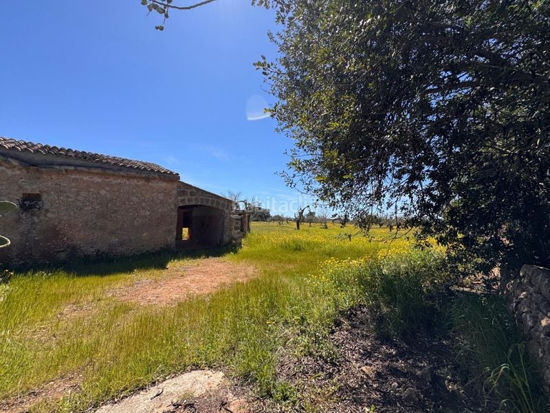 Foto cf04fa11-c15d-49af-98ce-0d8ee0a2f164. Terreny residencial a Algaida