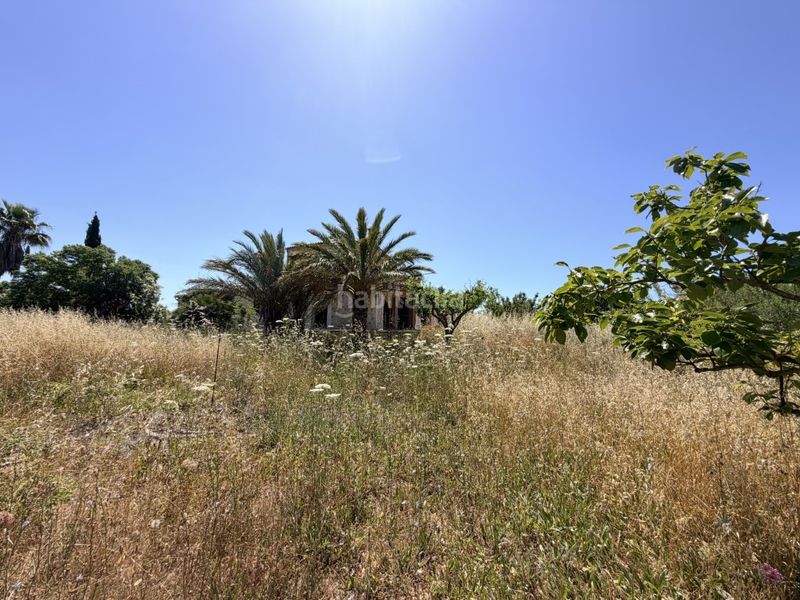 Foto ad3c964a-0ec2-4740-aeed-01026f045ef1. Casa amb aparcament a Establiments Palma de Mallorca