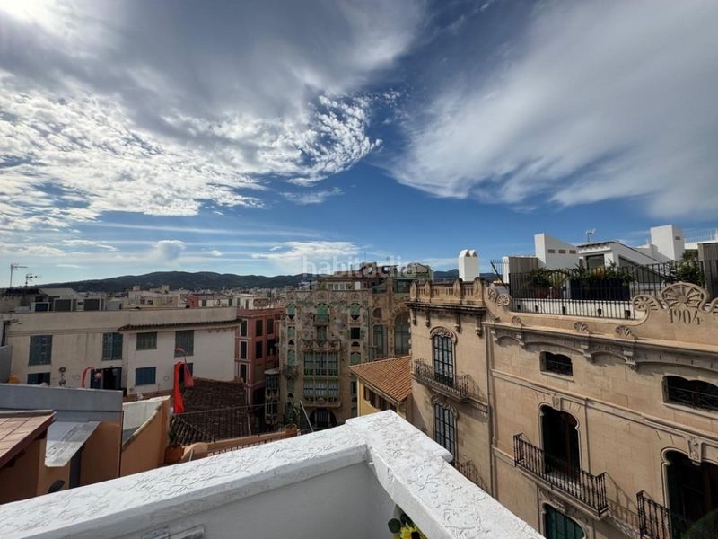 Foto 0c6e3d07-1f99-4924-b9a4-e76d56a2d35f. Apartament a Cort Palma de Mallorca