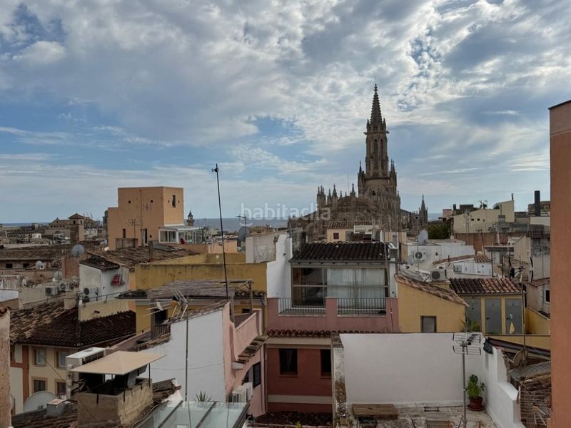 Foto ee5e9bbe-2568-455b-bfe2-b3123919e835. Apartament a Cort Palma de Mallorca