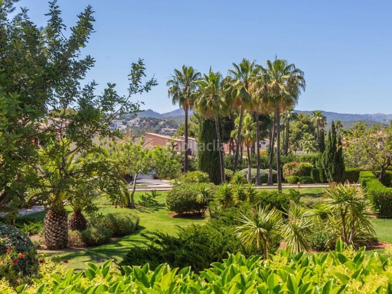 Foto 87067648-aa8c-4a6a-a258-2b1a8810da9f. Planta baixa amb aparcament piscina a Santa Ponça Calvià