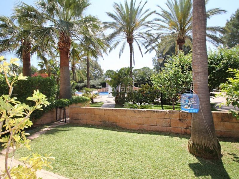 Foto d947cf98-89ea-41ca-a223-e4ba23ccf840. Apartament amb piscina a Santa Ponça Calvià