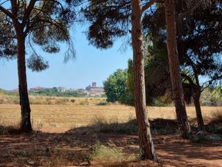 Fondo rustico  Avinguda de pau casals
