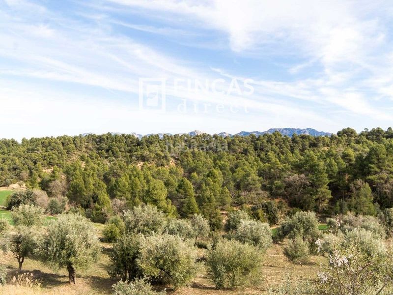 Foto 41aada0c-e09f-48fe-aacf-3718e5ab492b. Masia amb aparcament piscina a Cretas