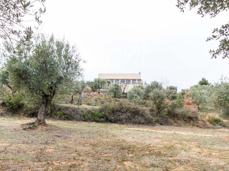 Foto e1b41fca-6ac5-4fd9-9600-2392b5f0b415. Masia amb aparcament piscina a Cretas