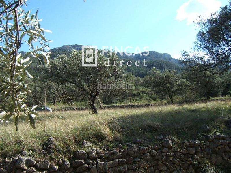 Foto 0a80cc0f-1ad5-4ff3-88ea-b73b70d02f2d. Wohngrundstück in Paüls