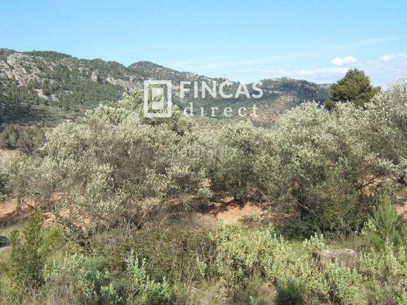 Foto 2d2c15ac-1085-4447-8d80-aa6310a6f954. Wohngrundstück in Paüls