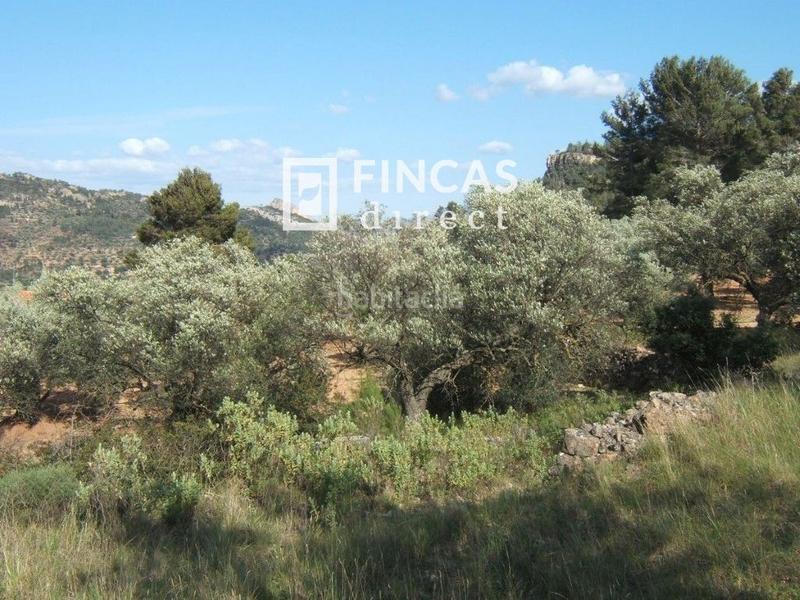 Foto 411498d4-2679-410e-a25a-55b39d987040. Wohngrundstück in Paüls