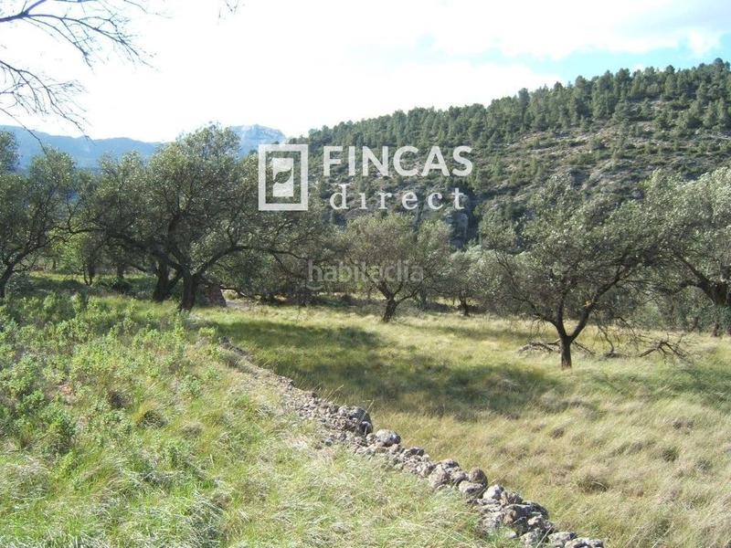 Foto 5ae7e2c9-9292-4d8f-a73a-12219100c456. Wohngrundstück in Paüls