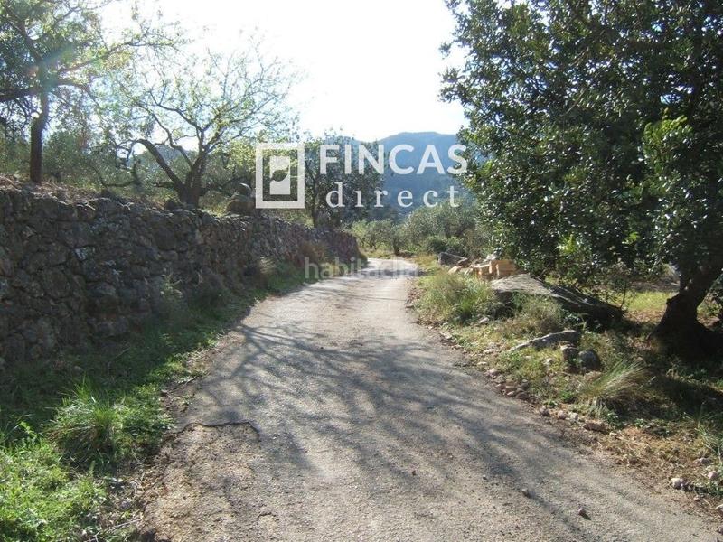 Foto 609bb485-2f62-4987-ad32-58b739787682. Wohngrundstück in Paüls