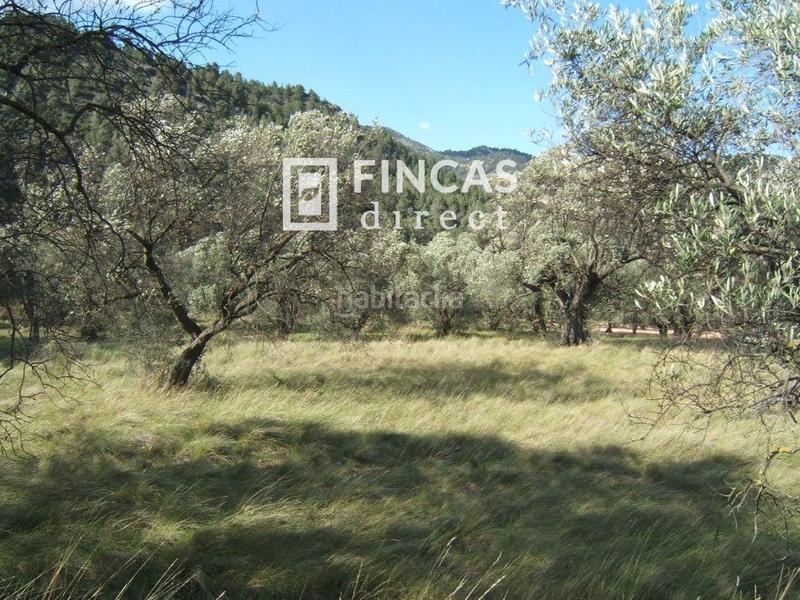 Foto 8ff278ad-9c62-4722-b413-5fefa55db3a8. Wohngrundstück in Paüls