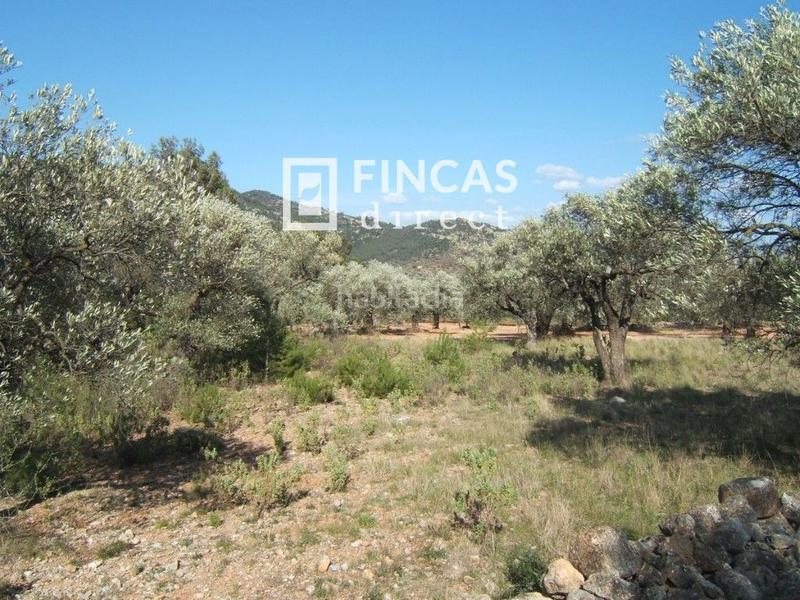 Foto 97d476b2-4afa-457f-9cf4-44718b9977c2. Wohngrundstück in Paüls