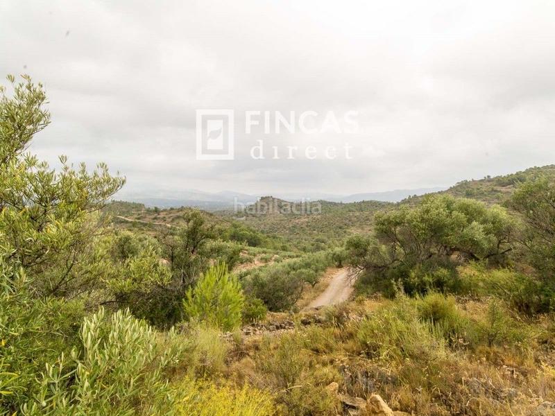 Foto 02096d9e-cdbe-4250-ae1f-02e32e7e5fea. Country house in Bítem Tortosa