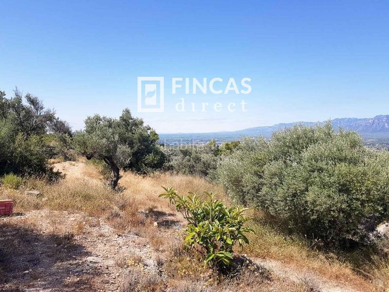 Foto 06fe40d1-efed-4a8e-91f3-da9ca59d2d7a. Country house in Bítem Tortosa