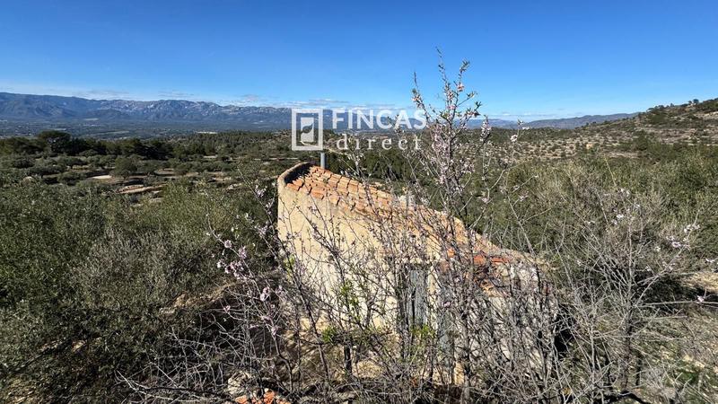 Foto 21b592ec-091f-4069-af06-dc96f7fd4e78. Country house in Bítem Tortosa