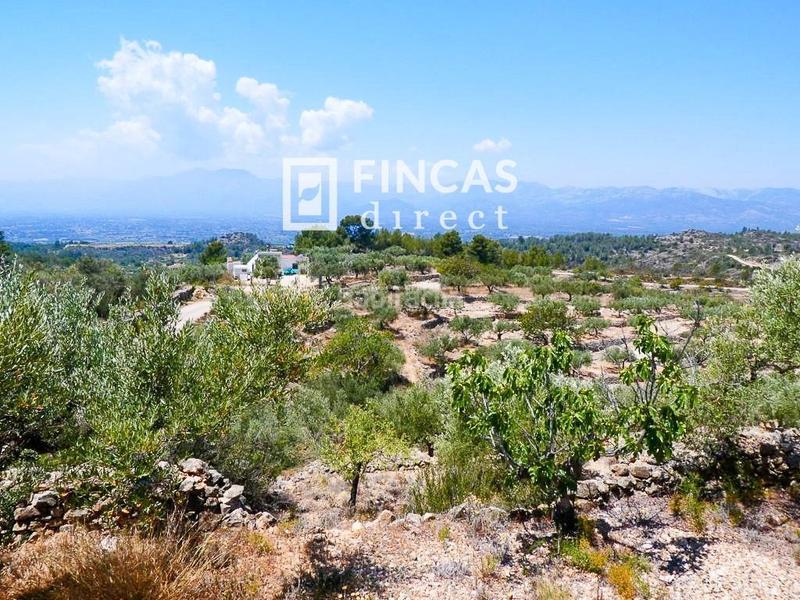 Foto 3f05b544-ab45-418d-b8b8-78758e860c52. Country house in Bítem Tortosa