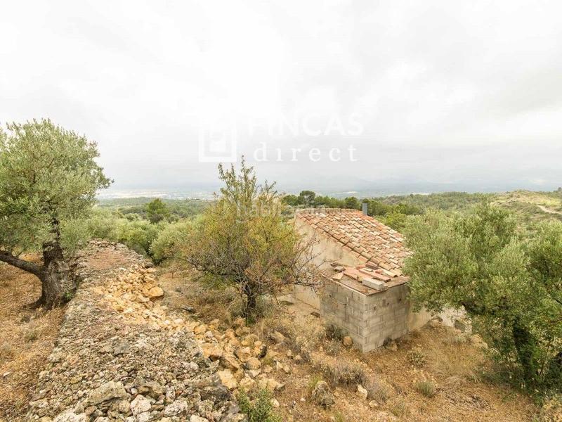 Foto 574d512d-aa46-42e3-b6d1-82505ea9943c. Country house in Bítem Tortosa