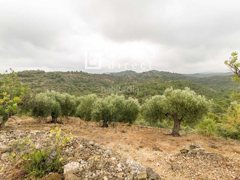 Foto 6ca9f5cc-db6a-4382-b87a-94bd6d876215. Country house in Bítem Tortosa