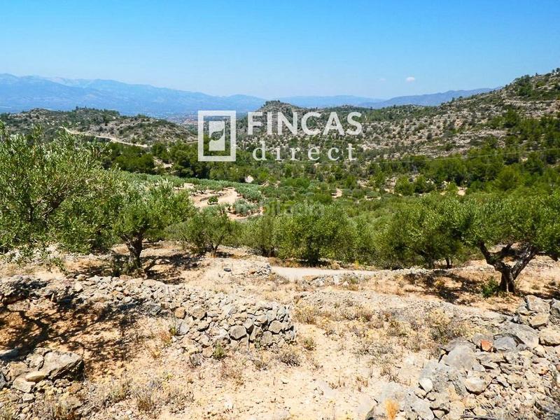 Foto 6f7105f1-c031-48fe-8fd0-8783ca44173a. Country house in Bítem Tortosa