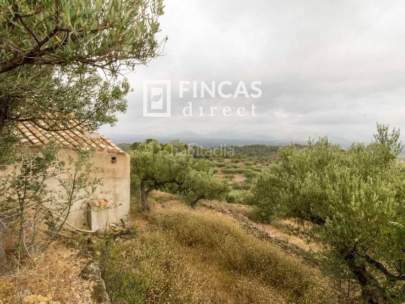 Foto a60da42b-98c2-4415-84ef-f0e150cfac25. Country house in Bítem Tortosa
