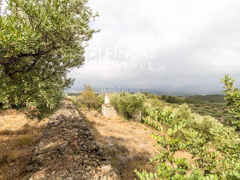 Foto b328a39d-791e-459b-b0a7-7fcce9d9d60c. Country house in Bítem Tortosa