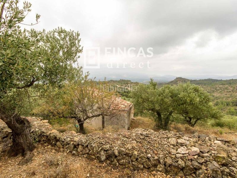Foto cc490b77-4db9-424b-8b5f-de4b48381fe5. Country house in Bítem Tortosa