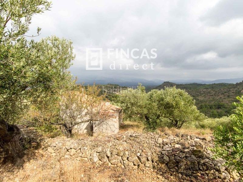 Foto d28e3463-0e60-49e8-998a-79f15f58e1d7. Country house in Bítem Tortosa