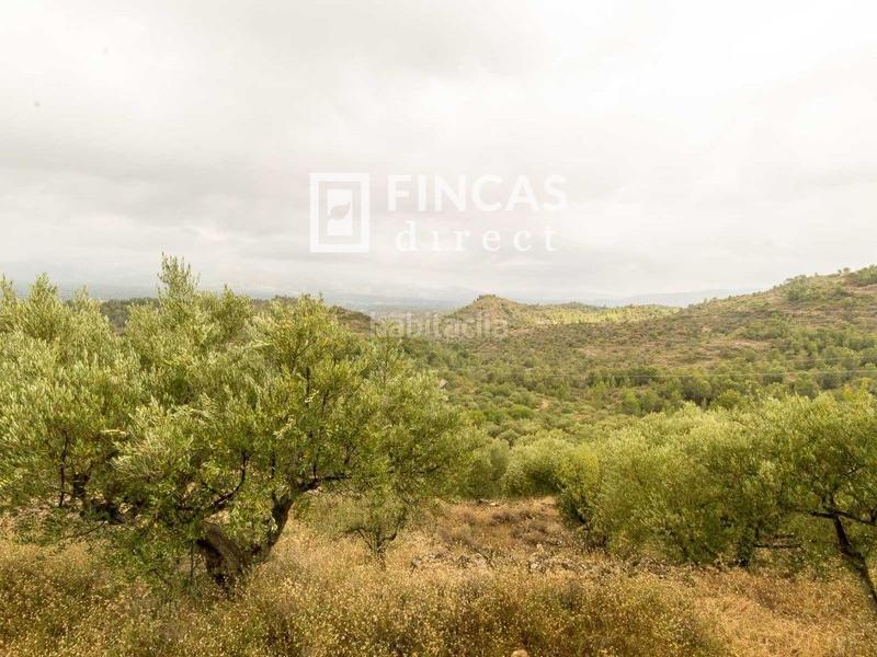 Foto fcdf2709-a9ac-4f49-90c6-143cd75bd4b0. Country house in Bítem Tortosa