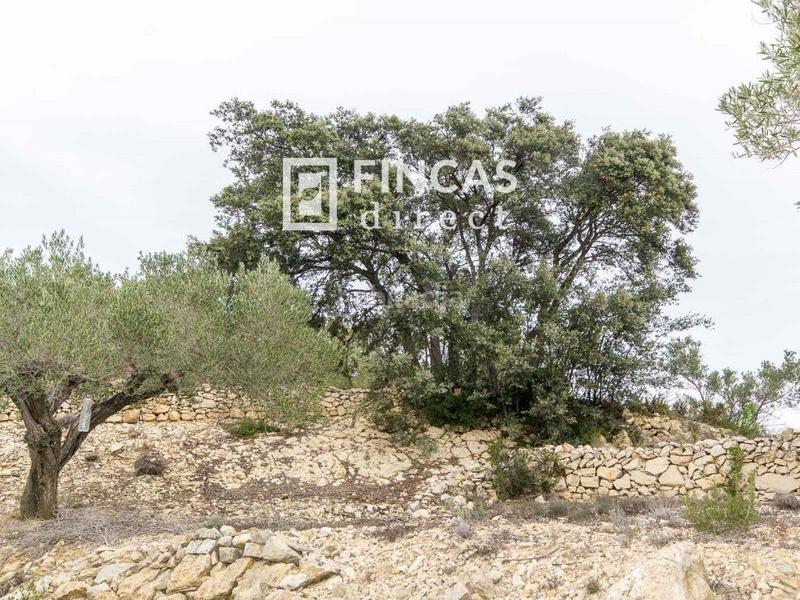 Foto 11f8708f-001a-48a6-af71-7b1ce9b30600. Masia a Bítem Tortosa
