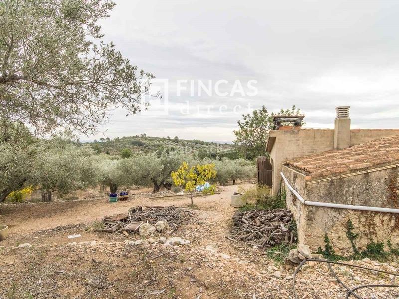 Foto 307f1400-f9ee-464a-8d5f-fc3059837ffe. Masia a Bítem Tortosa