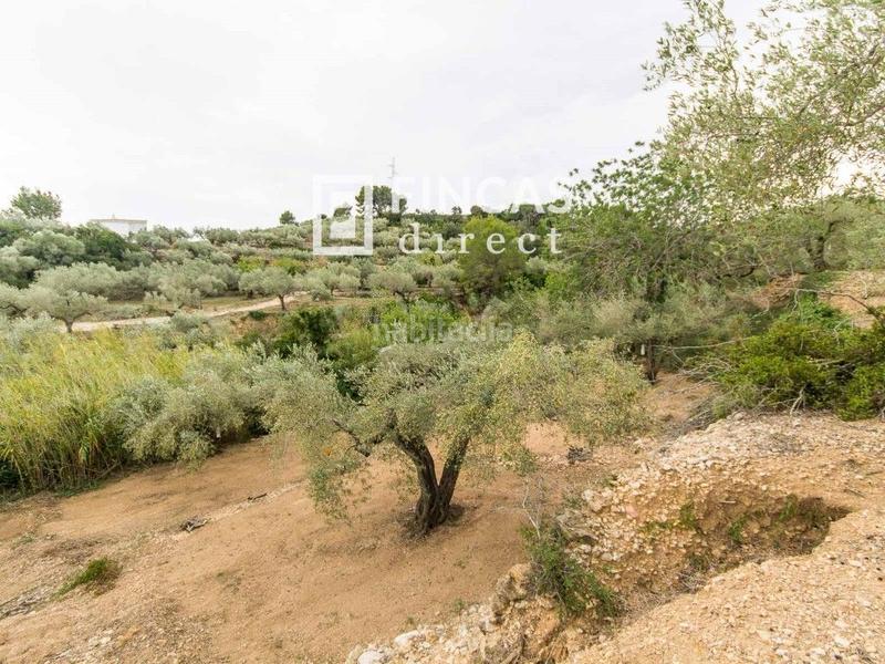 Foto 428f1056-301c-4947-bdaf-d11a3b9f1c9e. Masia a Bítem Tortosa