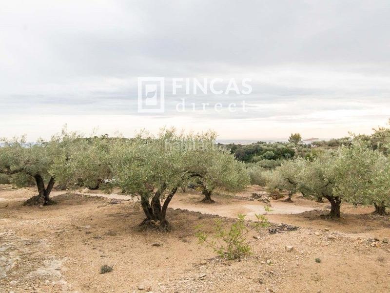 Foto 6bd5030c-e00b-44ce-8097-8daff9ae1dd1. Masia a Bítem Tortosa