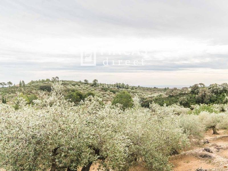 Foto 87e83f34-a54a-48ac-a486-f2730ace9ea5. Masia a Bítem Tortosa