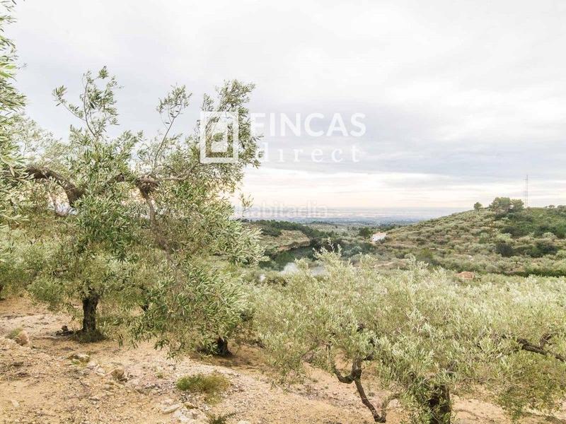 Foto 9dc52705-e88f-4c8b-b8dd-e6d6091bdf46. Masia a Bítem Tortosa