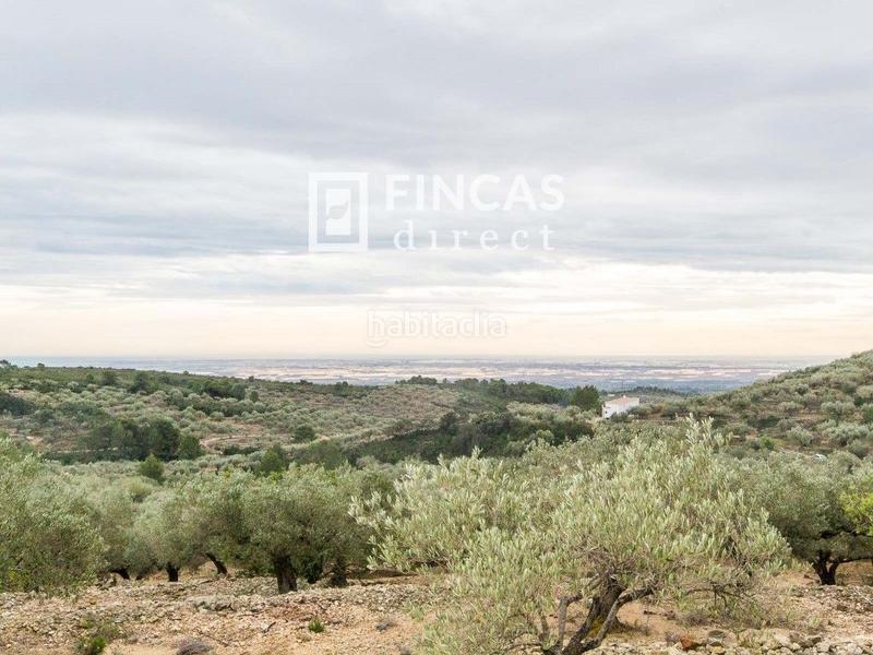 Foto a9a852cb-7dc6-44df-b9f2-b1c97f0a479a. Masia a Bítem Tortosa