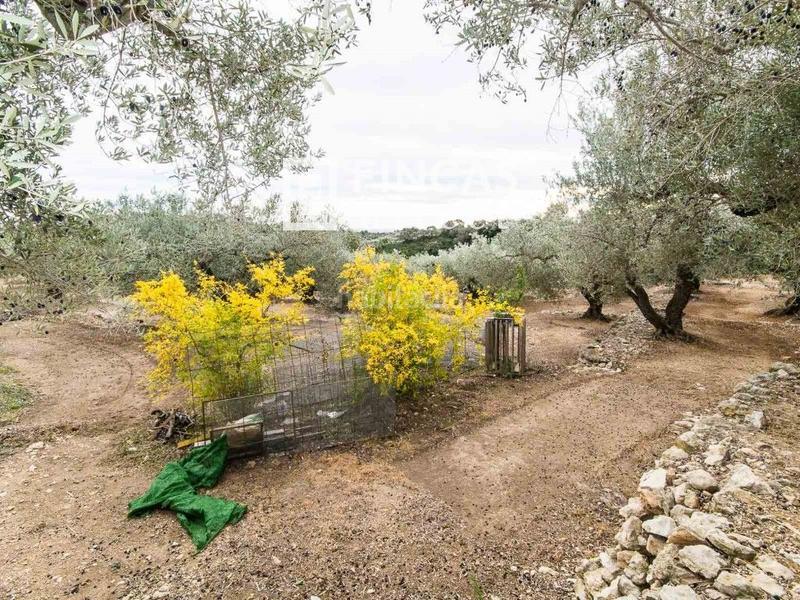 Foto a9d45b76-9204-48ee-a63c-2810e23ebbdd. Masia a Bítem Tortosa